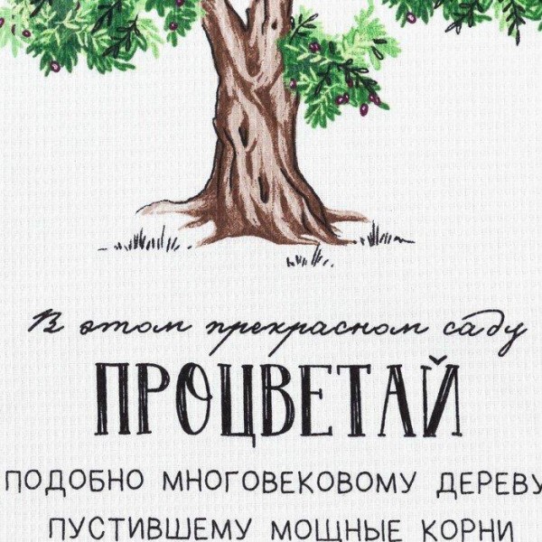 Набор кухонных полотенец Доляна «Процветай», 35х60см-2шт, 100% хл